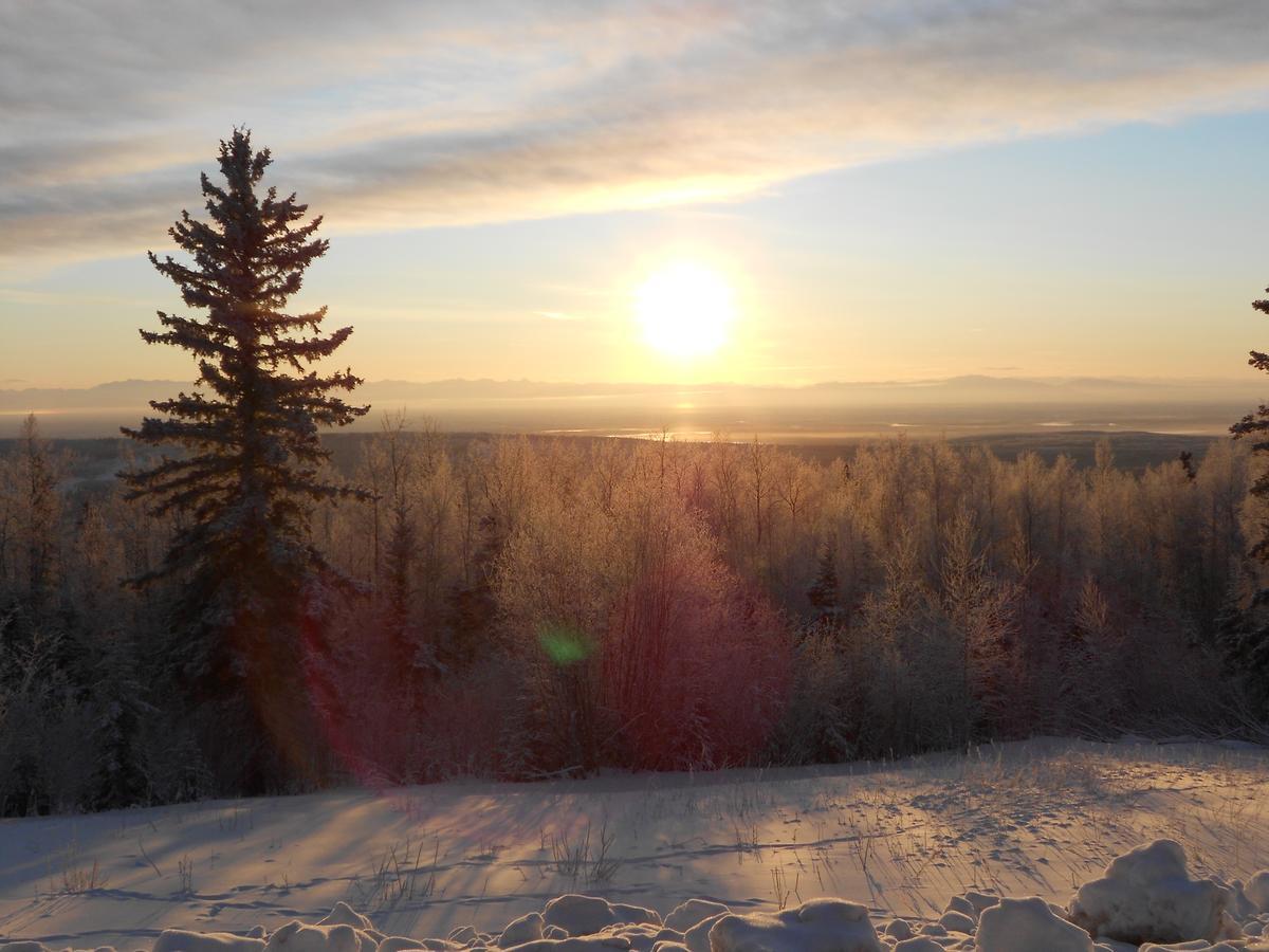 Denali Primrose Bed & Breakfast Хілі Екстер'єр фото